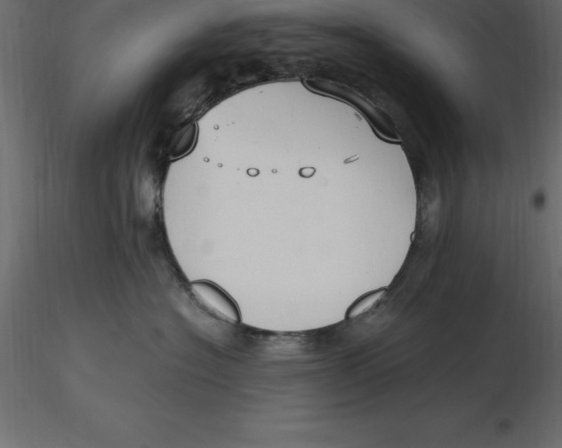 X0000116580574200912312017