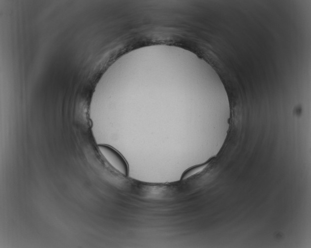 X0000116580575200912312017