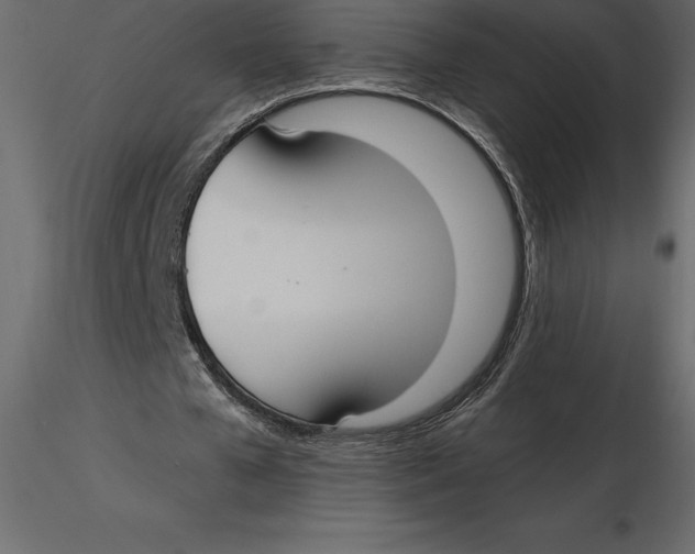 X0000116580577200912312016