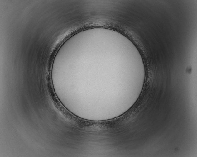 X0000116580578200912312016