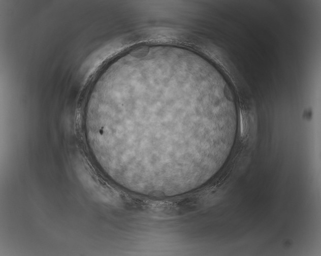 X0000116580579200912312016