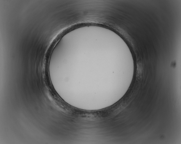 X0000116580580200912312016