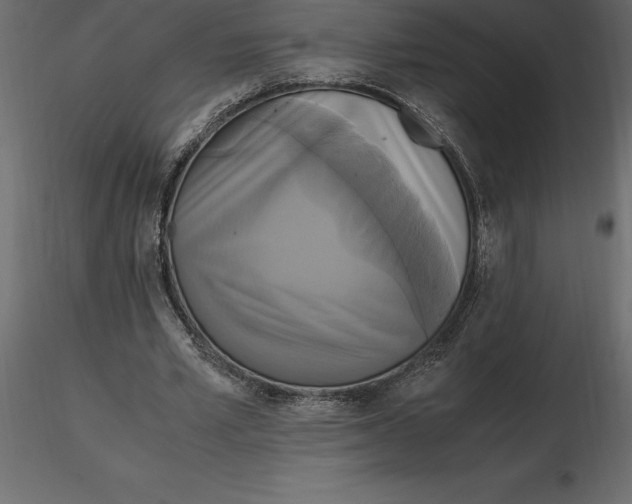 X0000116580581200912312016