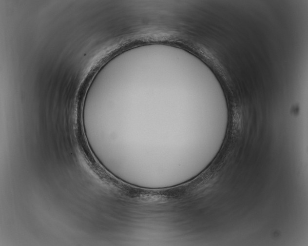 X0000116580582200912312016