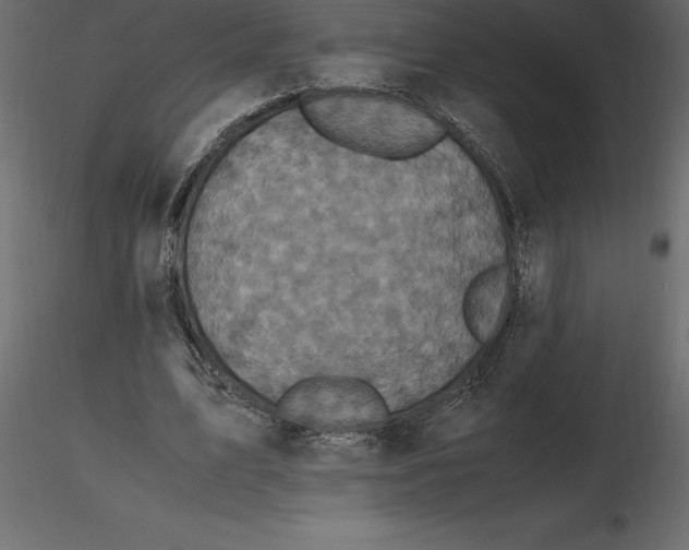 X0000116580583200912312016