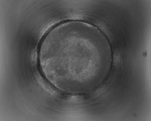 X0000116580584200912312016