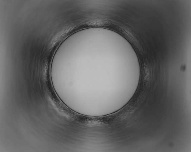 X0000116580586200912312016