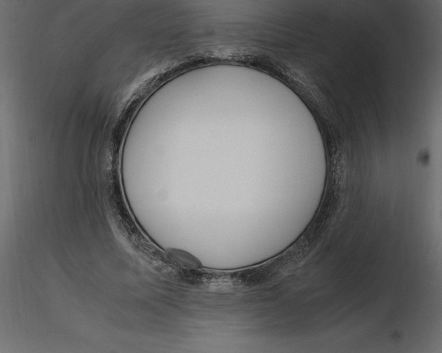 X0000116580587200912312016