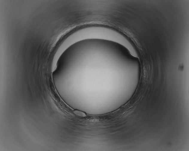 X0000116580588200912312016