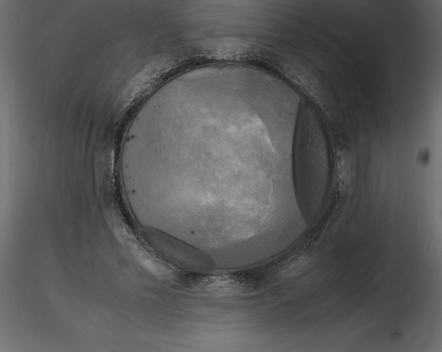 X0000116580589200912312016