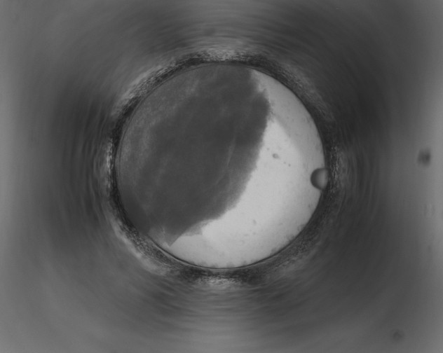 X0000116580590200912312016