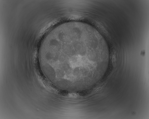 X0000116580591200912312016