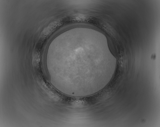 X0000116580593200912312016