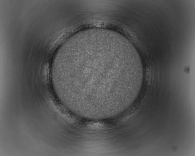 X0000116580594200912312016