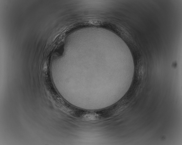 X0000116580595200912312016