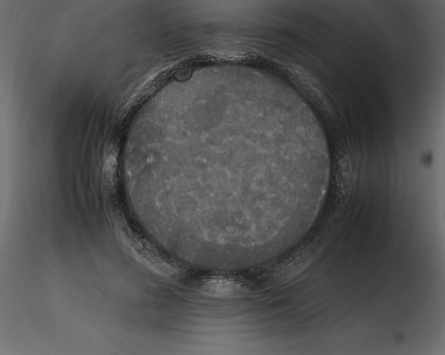 X0000116580596200912312016