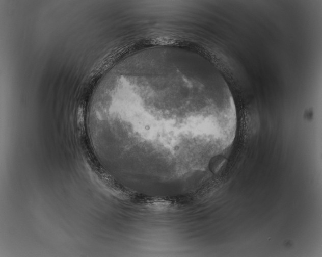 X0000116580598200912312016