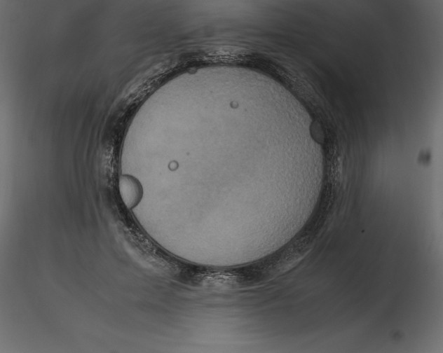 X0000116580599200912312016