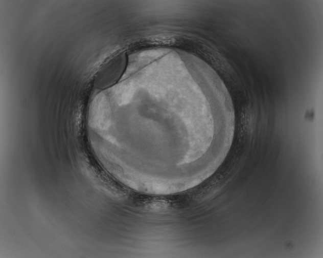 X0000116580600200912312016