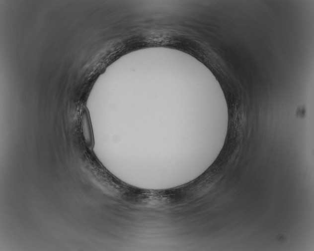 X0000116580601200912312016