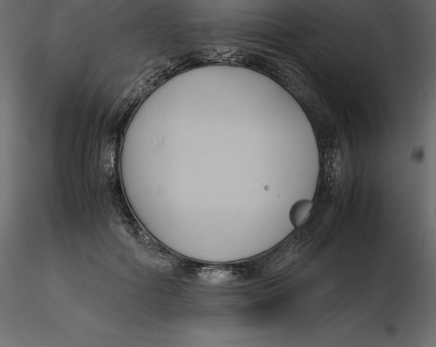 X0000116580602200912312016