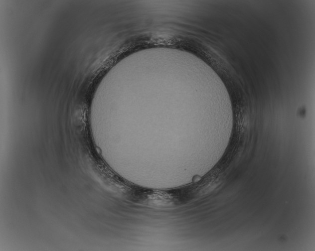 X0000116580603200912312016