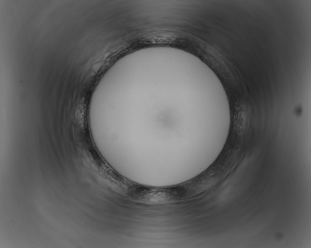 X0000116580604200912312016