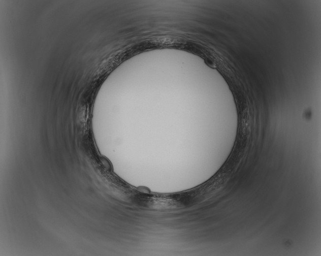 X0000116580605200912312016