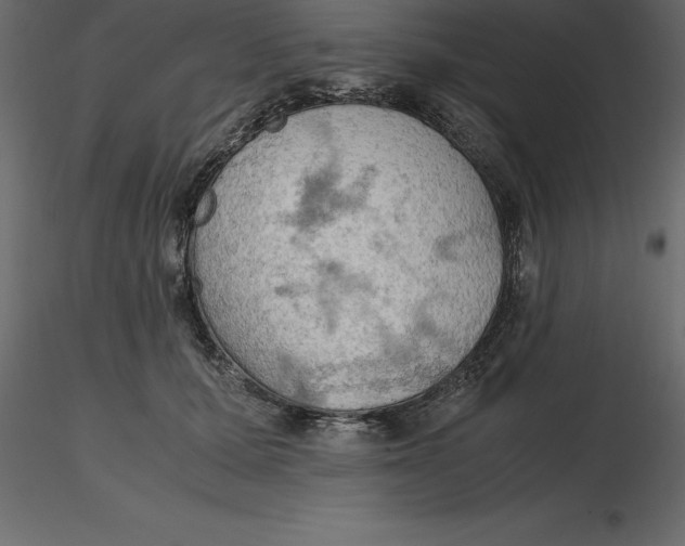 X0000116580607200912312016