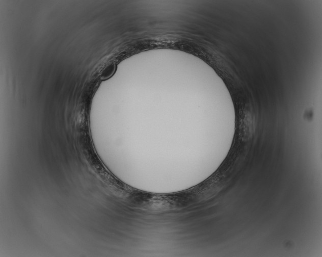 X0000116580608200912312016