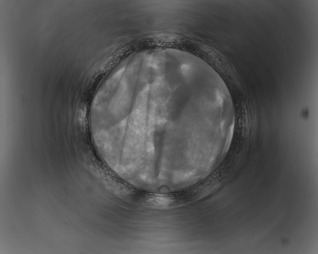 X0000116580610200912312016