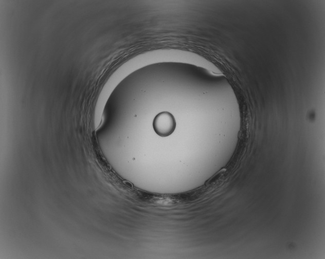 X0000116580611200912312016