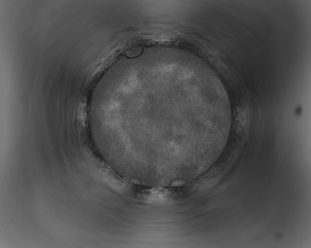 X0000116580612200912312016