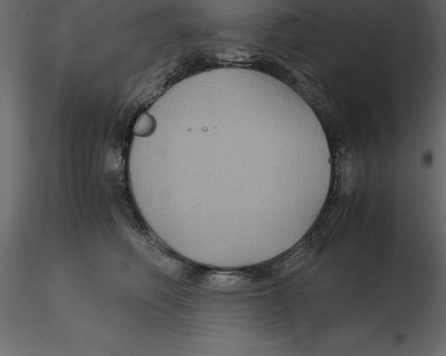 X0000116580614200912312016