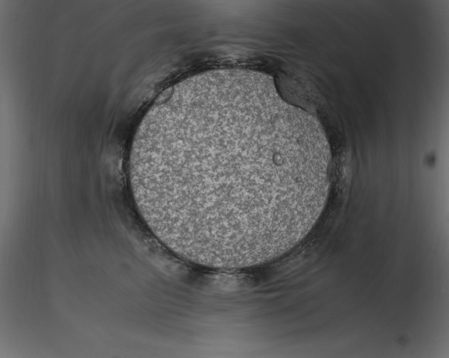 X0000116580615200912312016