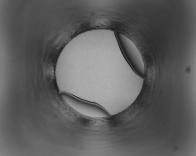 X0000116580617200912312016