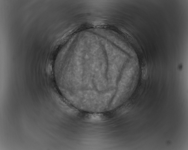 X0000116580618200912312016