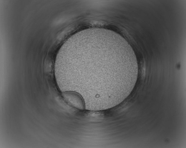 X0000116580619200912312016