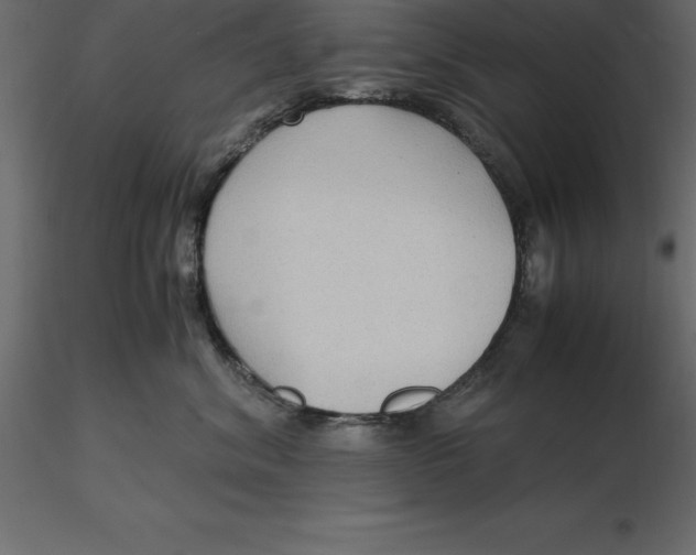 X0000116580620200912312016