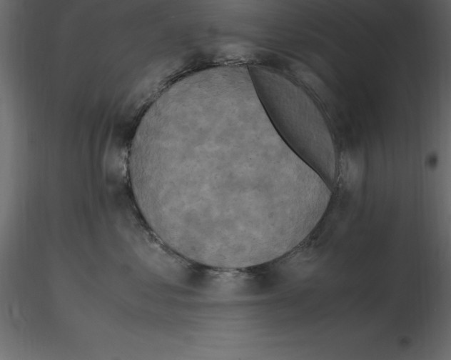 X0000116580621200912312016