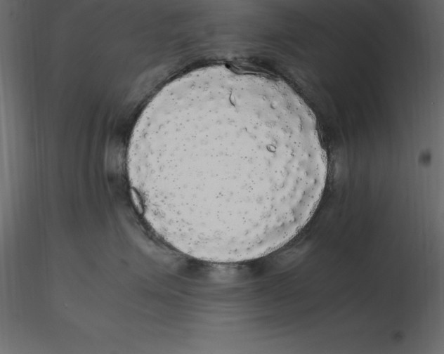 X0000116580623200912312016