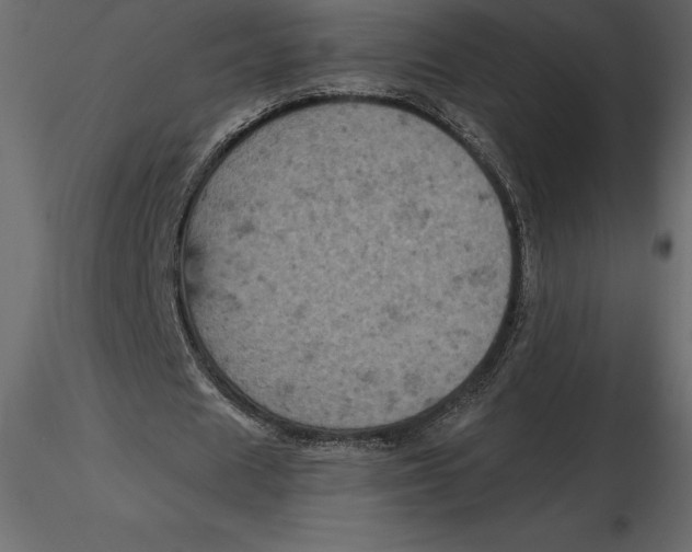 X0000116580625200912312015