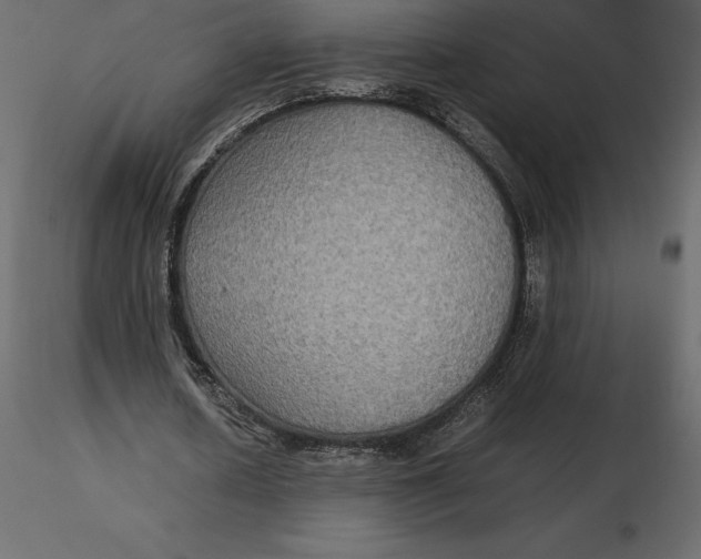 X0000116580626200912312015