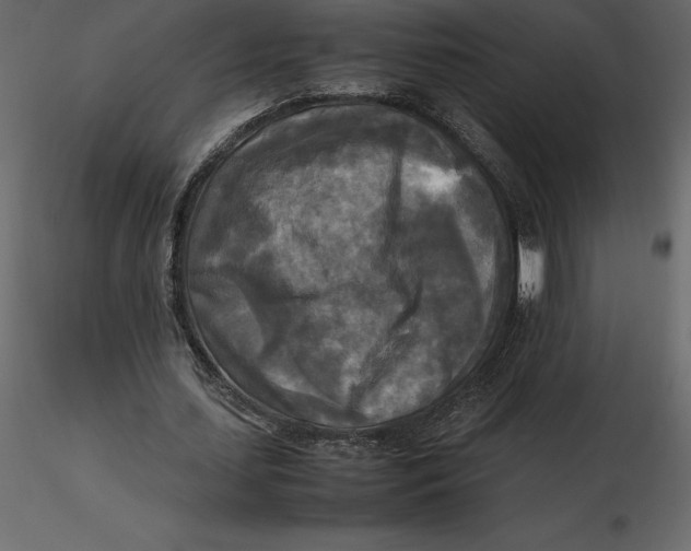 X0000116580627200912312015