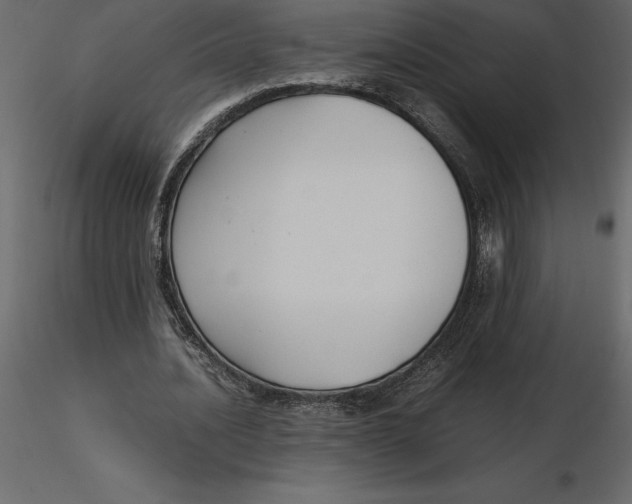 X0000116580628200912312015