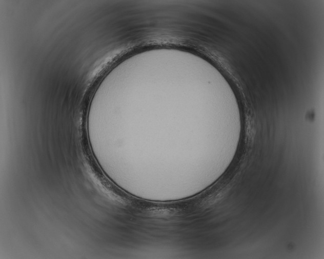 X0000116580629200912312015