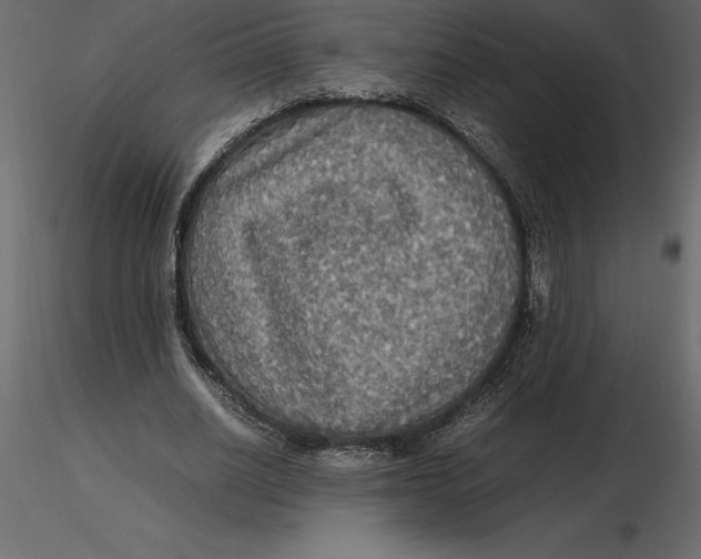 X0000116580630200912312015