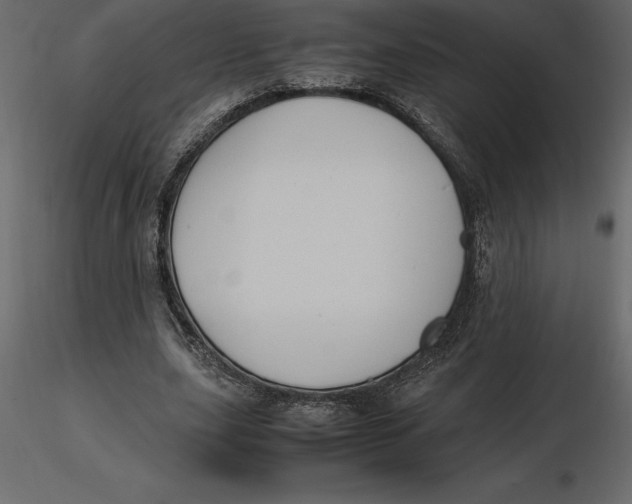 X0000116580631200912312015