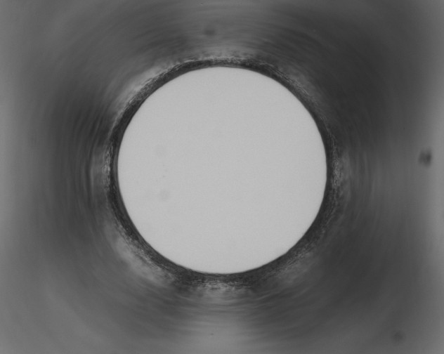 X0000116580632200912312015