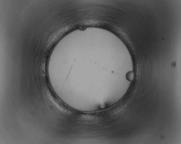 X0000116580633200912312015